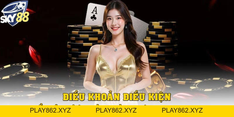 Điều Khoản Điều Kiện Tại Sky88 Mà Hội Viên Cần Nắm Rõ - play862