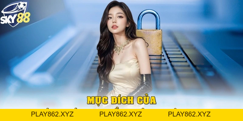 Tìm Hiểu Quyền Riêng Tư Tại Sky88 Để An Tâm Khi Cá Cược - play862